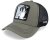 Hette - Capslab Looney Tunes Daffy Duck (grønn)
