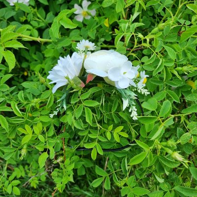 Blomsterkrans - Gårda Eden Flowerband (hvit)